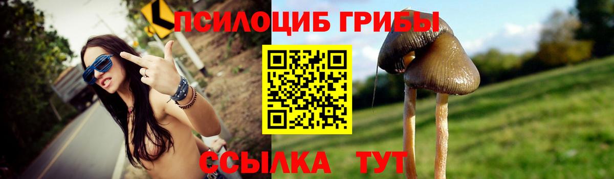 Галлюциногенные грибы прущие грибы Вязьма